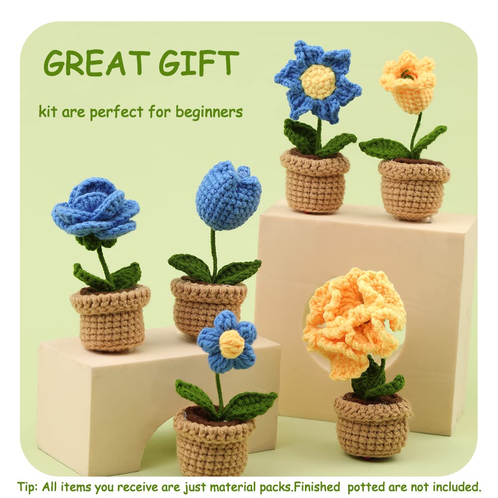 Potted Flowers Kit Crochet Kit for Beginners (Blue)