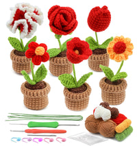 Potted Flowers Kit Crochet Kit for Beginners (Red)