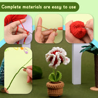 Potted Flowers Kit Crochet Kit for Beginners (Red)