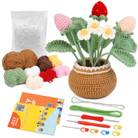 Strawberry Crochet Kit for Beginners