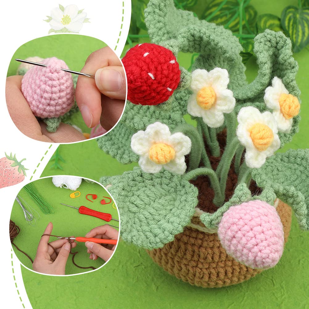 Strawberry Crochet Kit for Beginners