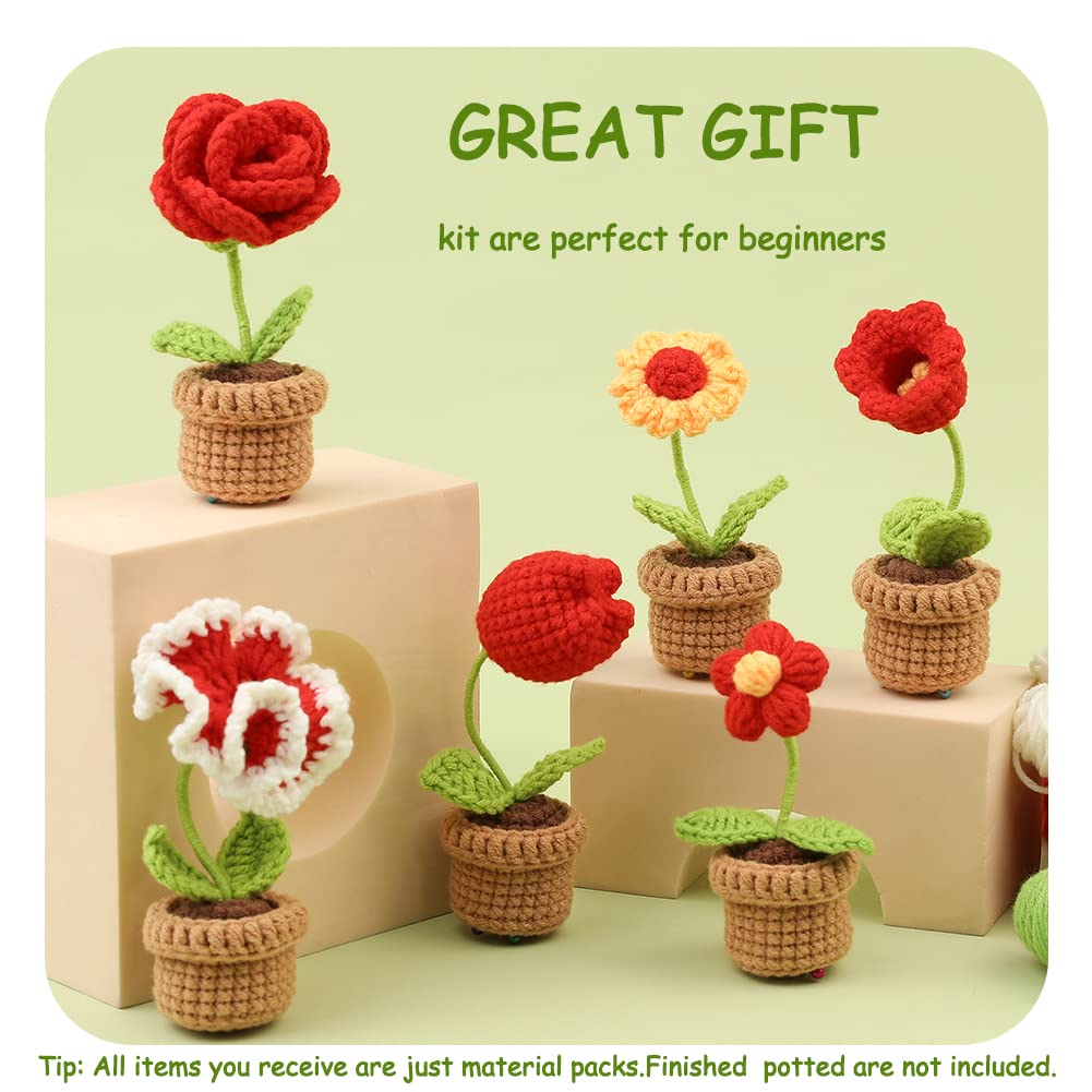 Potted Flowers Kit Crochet Kit for Beginners (Red)